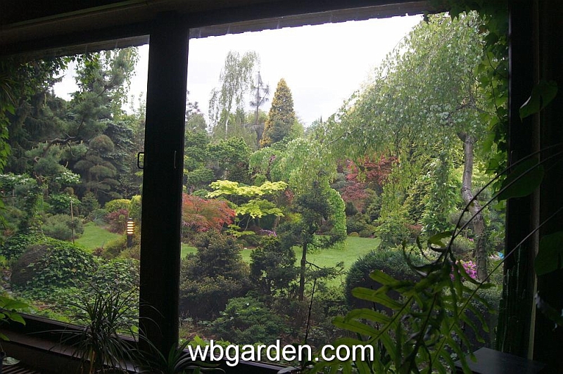 wbgarden spring 27.JPG